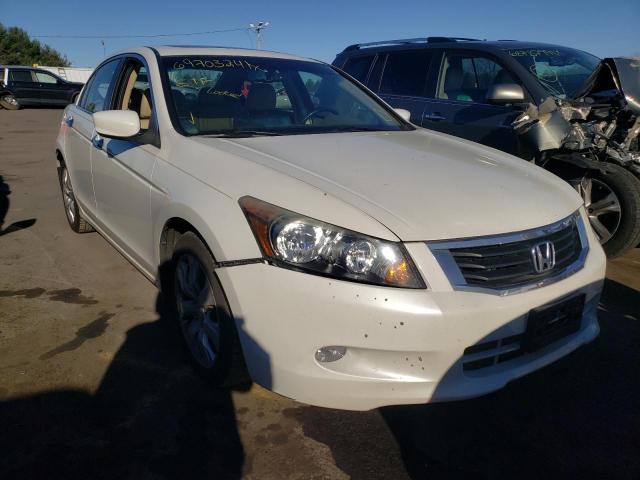 HONDA ACCORD EXL 2010 1hgcp3f82aa026913