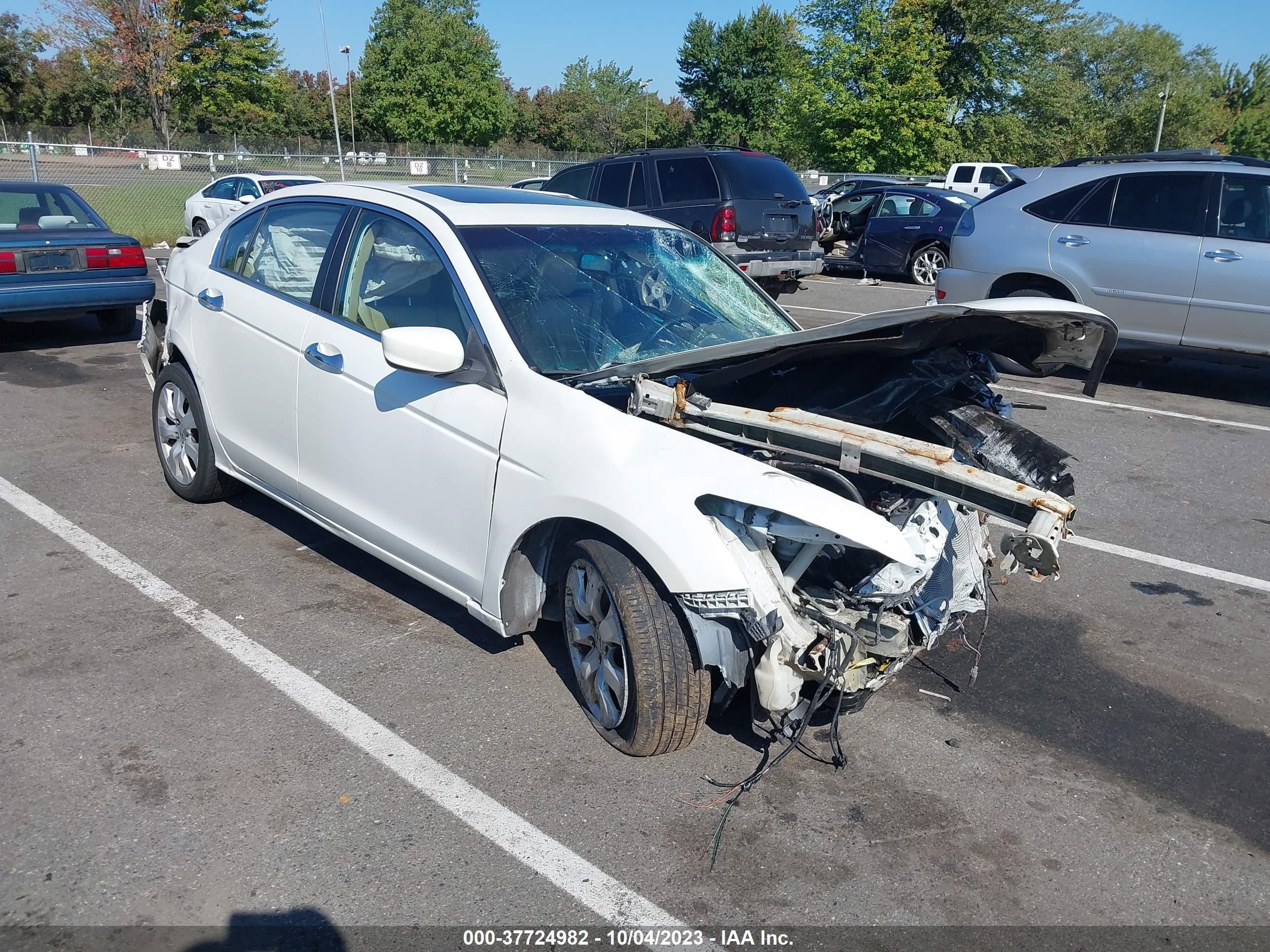 HONDA ACCORD 2010 1hgcp3f82aa031304