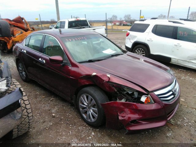 HONDA ACCORD 2011 1hgcp3f82ba001625