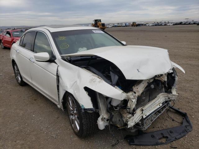 HONDA ACCORD EXL 2011 1hgcp3f82ba004525