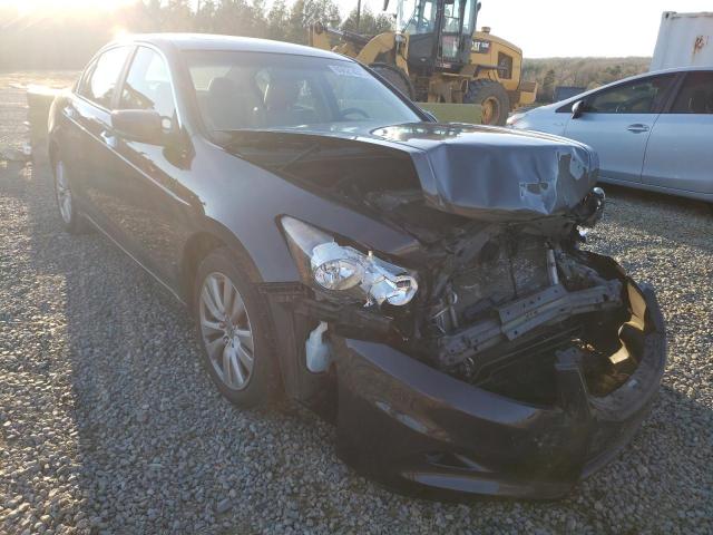 HONDA ACCORD EXL 2011 1hgcp3f82ba005240