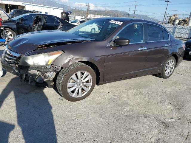 HONDA ACCORD 2011 1hgcp3f82ba006548