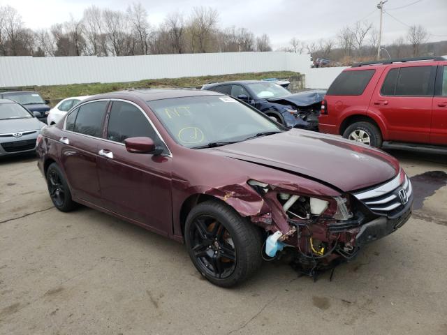 HONDA ACCORD EXL 2011 1hgcp3f82ba008350