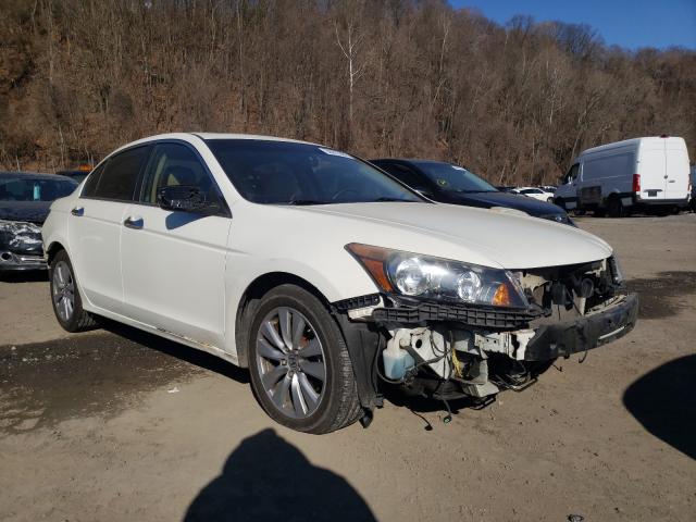 HONDA ACCORD EXL 2011 1hgcp3f82ba008526