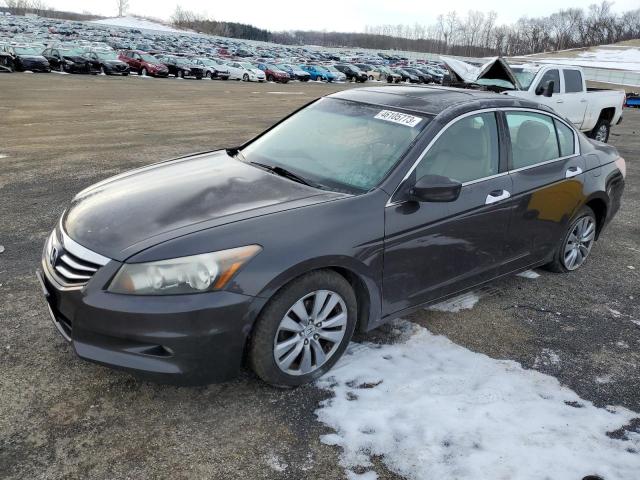 HONDA ACCORD EXL 2011 1hgcp3f82ba011989