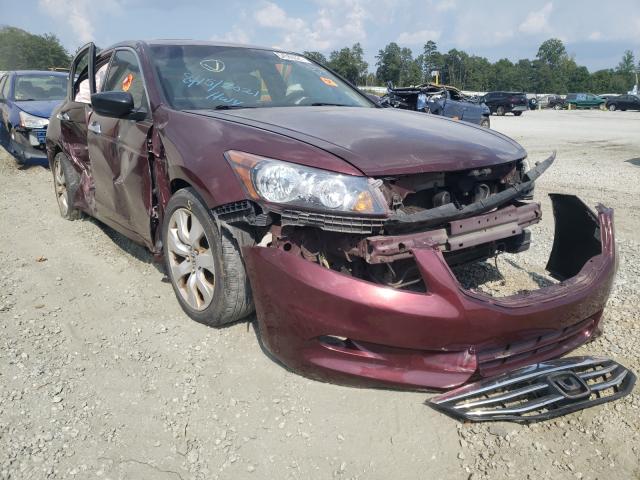 HONDA ACCORD EXL 2011 1hgcp3f82ba013046