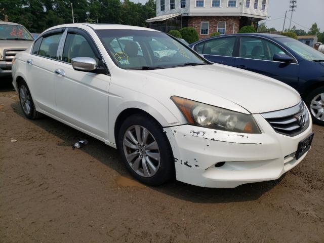 HONDA ACCORD EXL 2011 1hgcp3f82ba025455