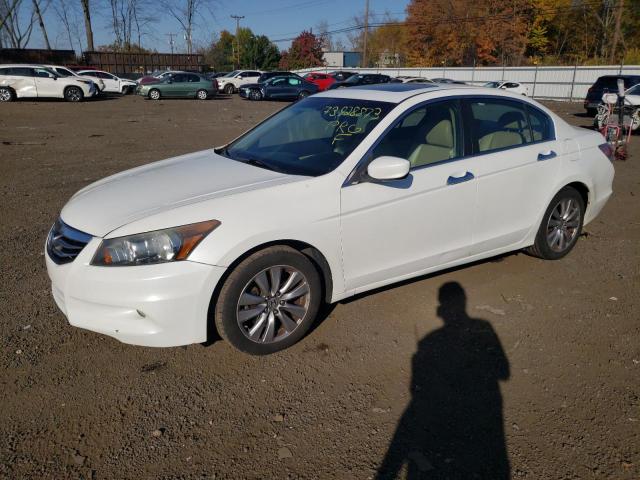 HONDA ACCORD 2011 1hgcp3f82ba028341