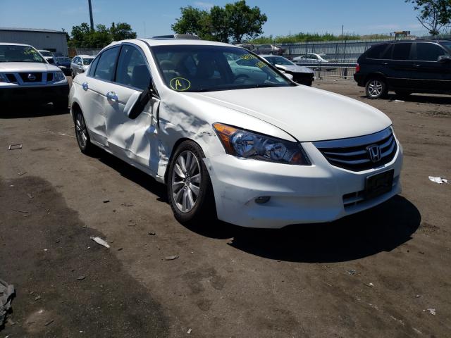 HONDA ACCORD EXL 2011 1hgcp3f82ba028355