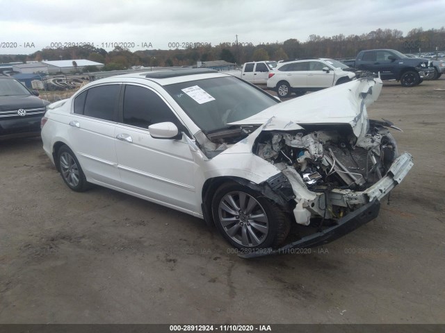 HONDA ACCORD SDN 2011 1hgcp3f82ba028517