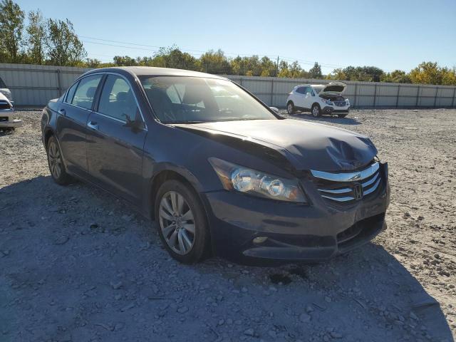 HONDA ACCORD EXL 2011 1hgcp3f82ba031935