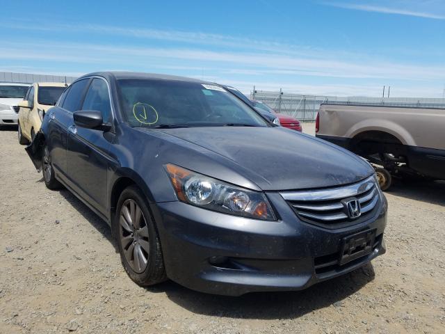 HONDA ACCORD EXL 2011 1hgcp3f82ba032440