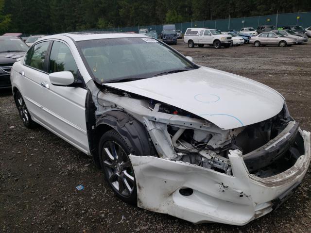 HONDA ACCORD EXL 2012 1hgcp3f82ca010195