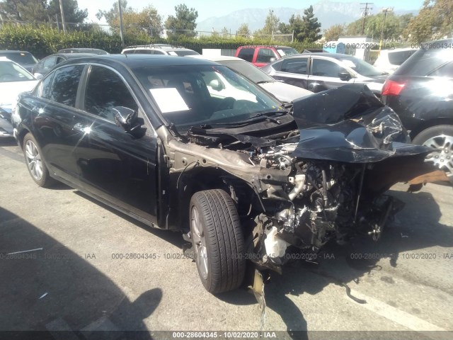 HONDA ACCORD SDN 2012 1hgcp3f82ca013033