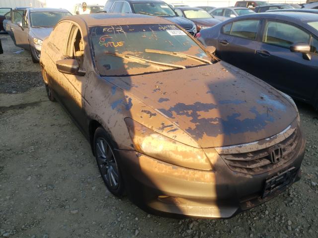 HONDA ACCORD EXL 2012 1hgcp3f82ca022833