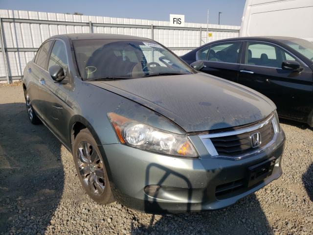 HONDA ACCORD EXL 2010 1hgcp3f83aa000336