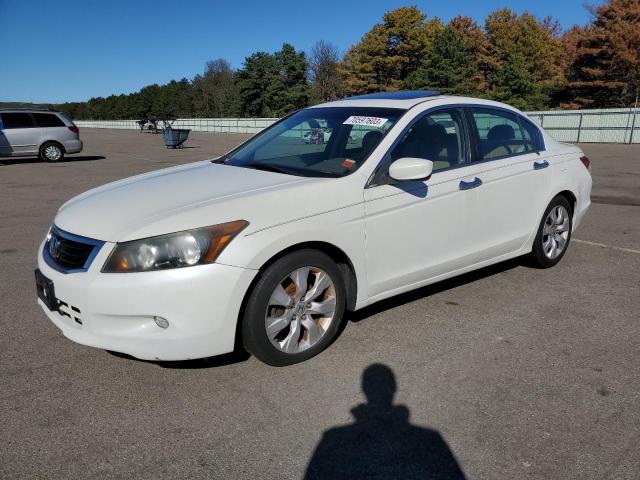 HONDA ACCORD 2010 1hgcp3f83aa003771