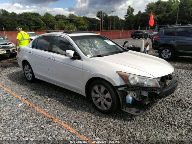 HONDA ACCORD SDN 2010 1hgcp3f83aa010168