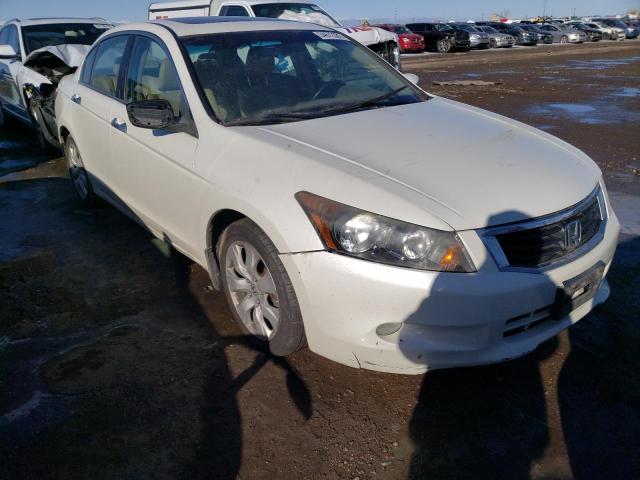 HONDA ACCORD EXL 2010 1hgcp3f83aa014804