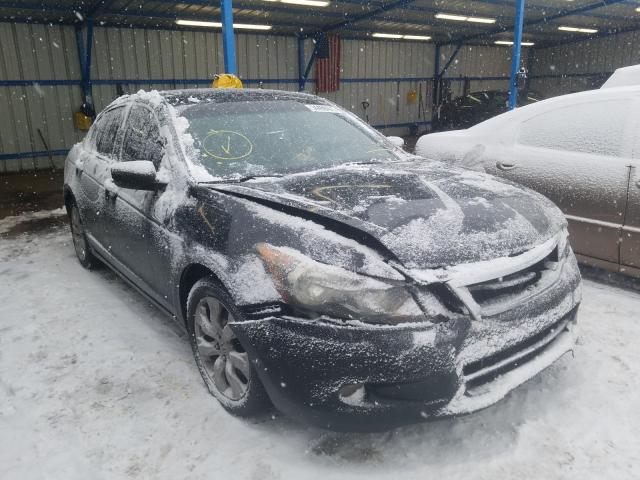 HONDA ACCORD EXL 2010 1hgcp3f83aa015208