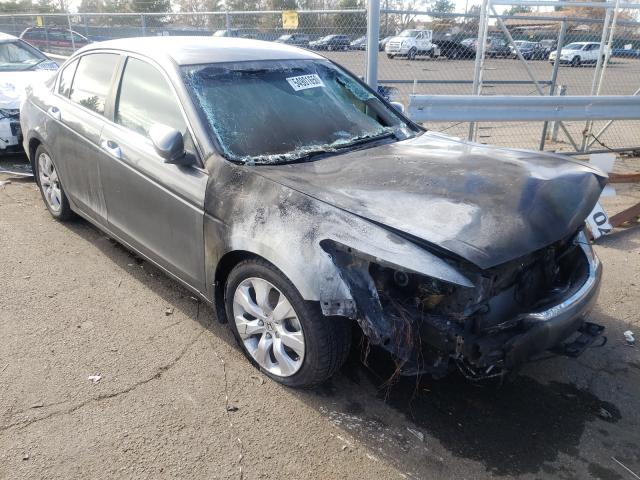 HONDA ACCORD EXL 2010 1hgcp3f83aa015256