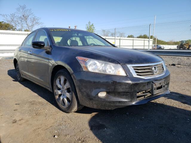 HONDA ACCORD EXL 2010 1hgcp3f83aa015614