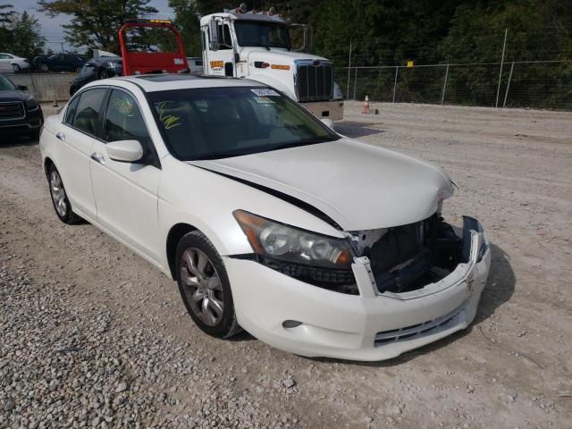 HONDA ACCORD EXL 2010 1hgcp3f83aa024863