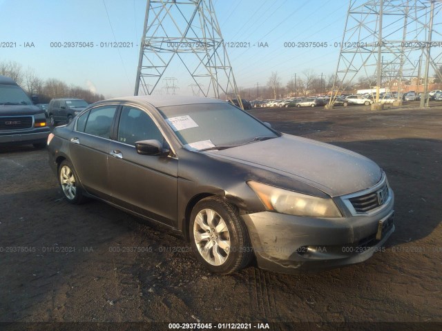 HONDA ACCORD SDN 2010 1hgcp3f83aa028041