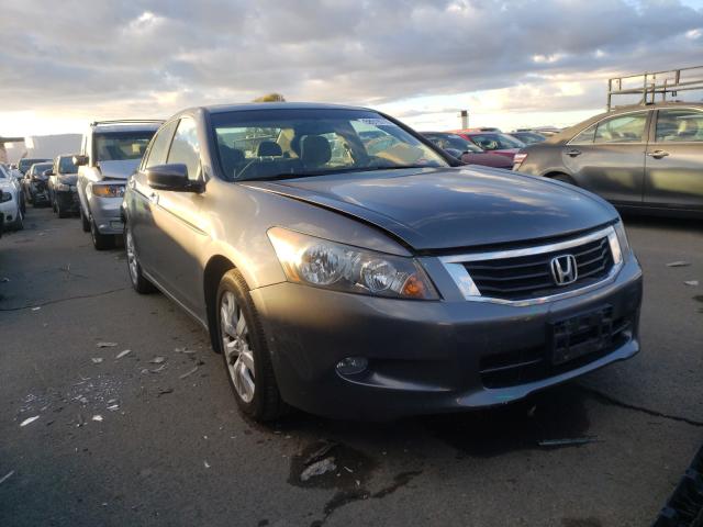 HONDA ACCORD EXL 2010 1hgcp3f83aa028170