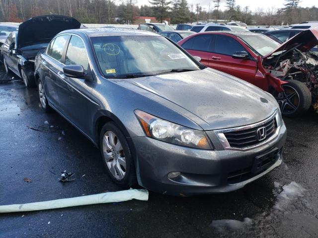 HONDA ACCORD EXL 2010 1hgcp3f83aa030341