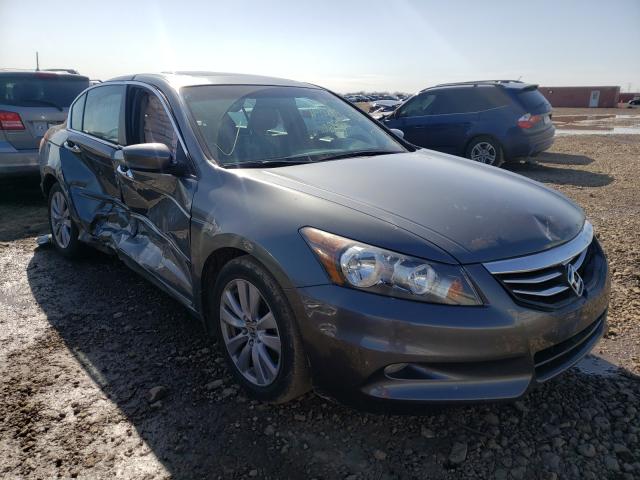 HONDA ACCORD EXL 2011 1hgcp3f83ba000368