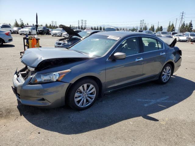 HONDA ACCORD EXL 2011 1hgcp3f83ba001505