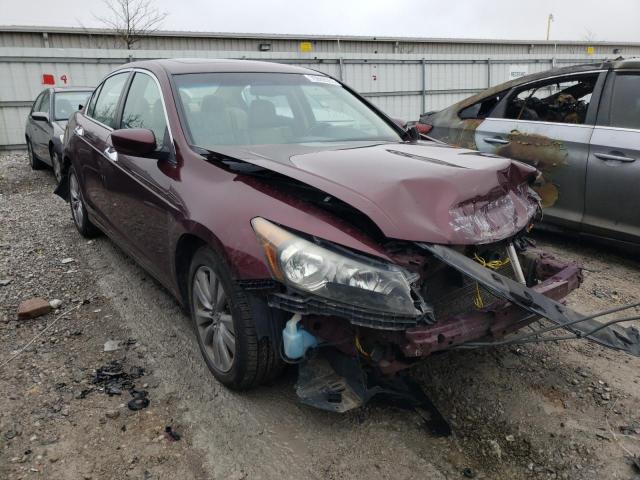 HONDA ACCORD EXL 2011 1hgcp3f83ba003366