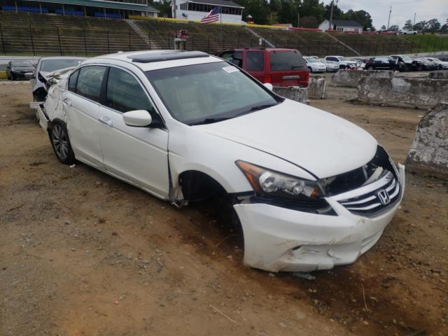 HONDA ACCORD EXL 2011 1hgcp3f83ba003531