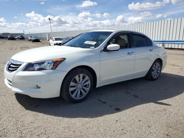 HONDA ACCORD 2011 1hgcp3f83ba004002