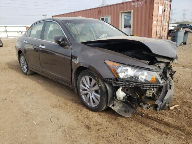 HONDA ACCORD EXL 2011 1hgcp3f83ba005473