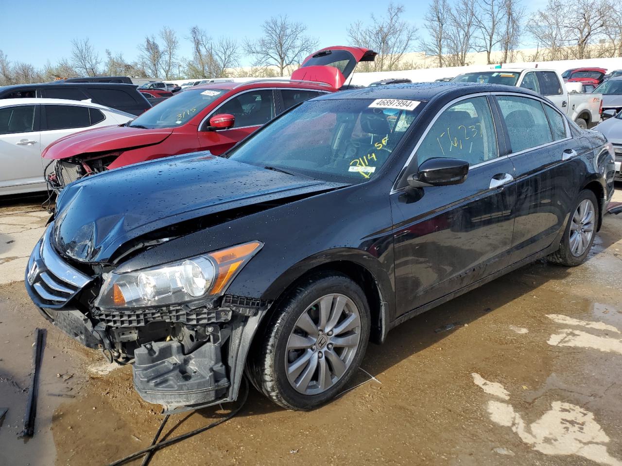 HONDA ACCORD 2011 1hgcp3f83ba005795