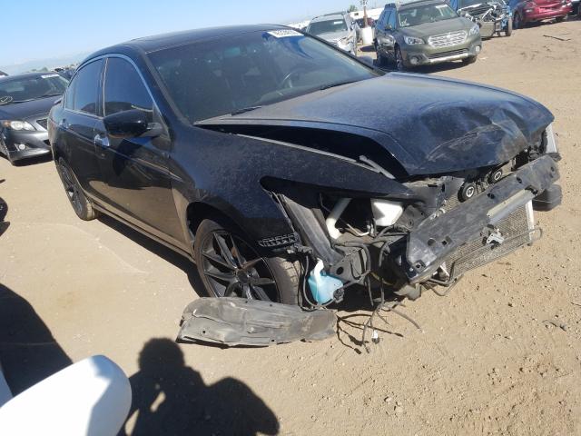 HONDA ACCORD EXL 2011 1hgcp3f83ba006798