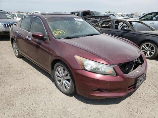 HONDA ACCORD EXL 2011 1hgcp3f83ba010222