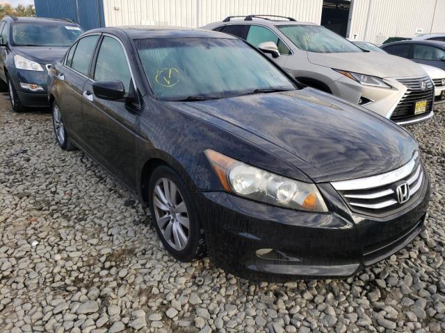 HONDA ACCORD EXL 2011 1hgcp3f83ba011130