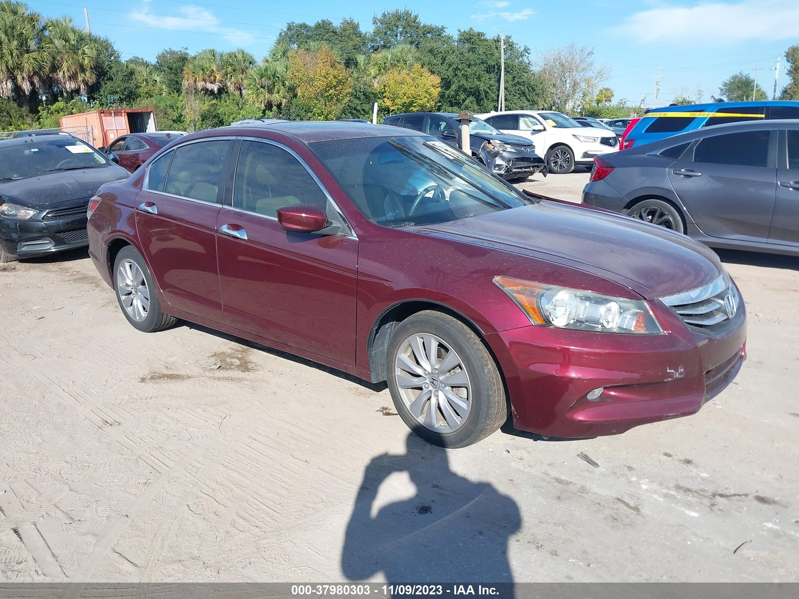 HONDA ACCORD 2011 1hgcp3f83ba018546