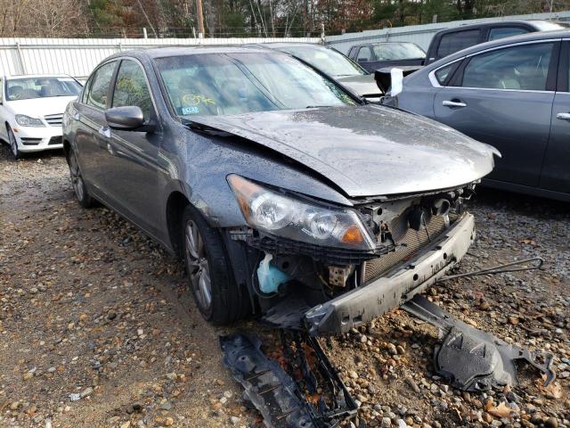 HONDA ACCORD EXL 2011 1hgcp3f83ba020510