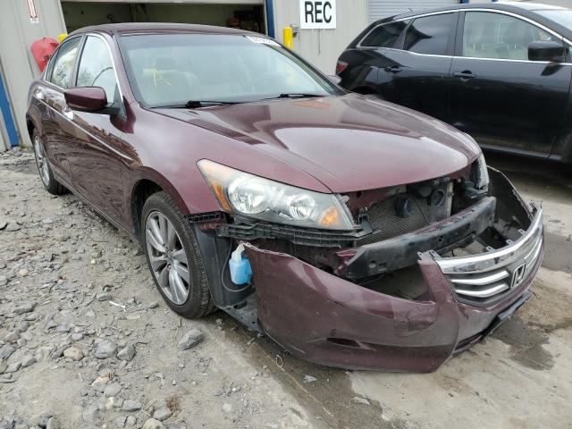 HONDA ACCORD EXL 2011 1hgcp3f83ba020877