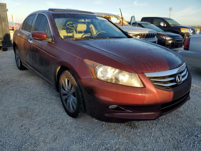 HONDA ACCORD EXL 2011 1hgcp3f83ba021611