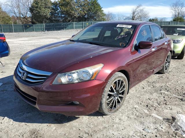 HONDA ACCORD EXL 2011 1hgcp3f83ba021785