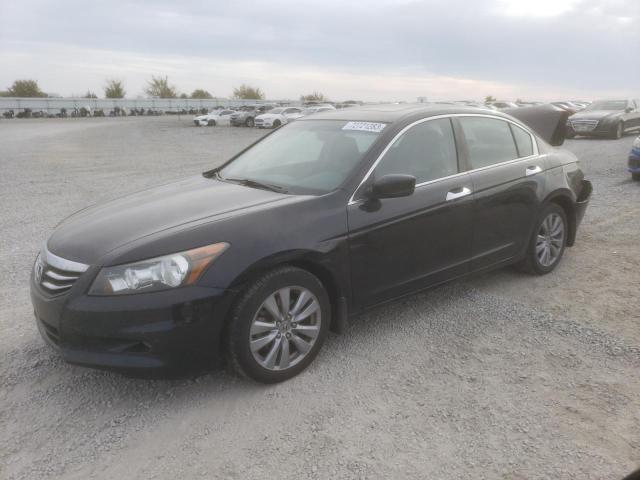 HONDA ACCORD 2011 1hgcp3f83ba022130