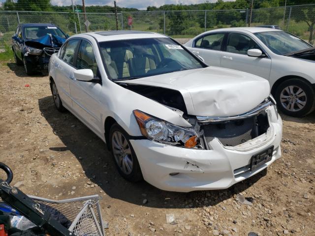 HONDA ACCORD EXL 2011 1hgcp3f83ba025447