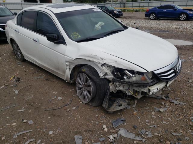 HONDA ACCORD EXL 2011 1hgcp3f83ba026100