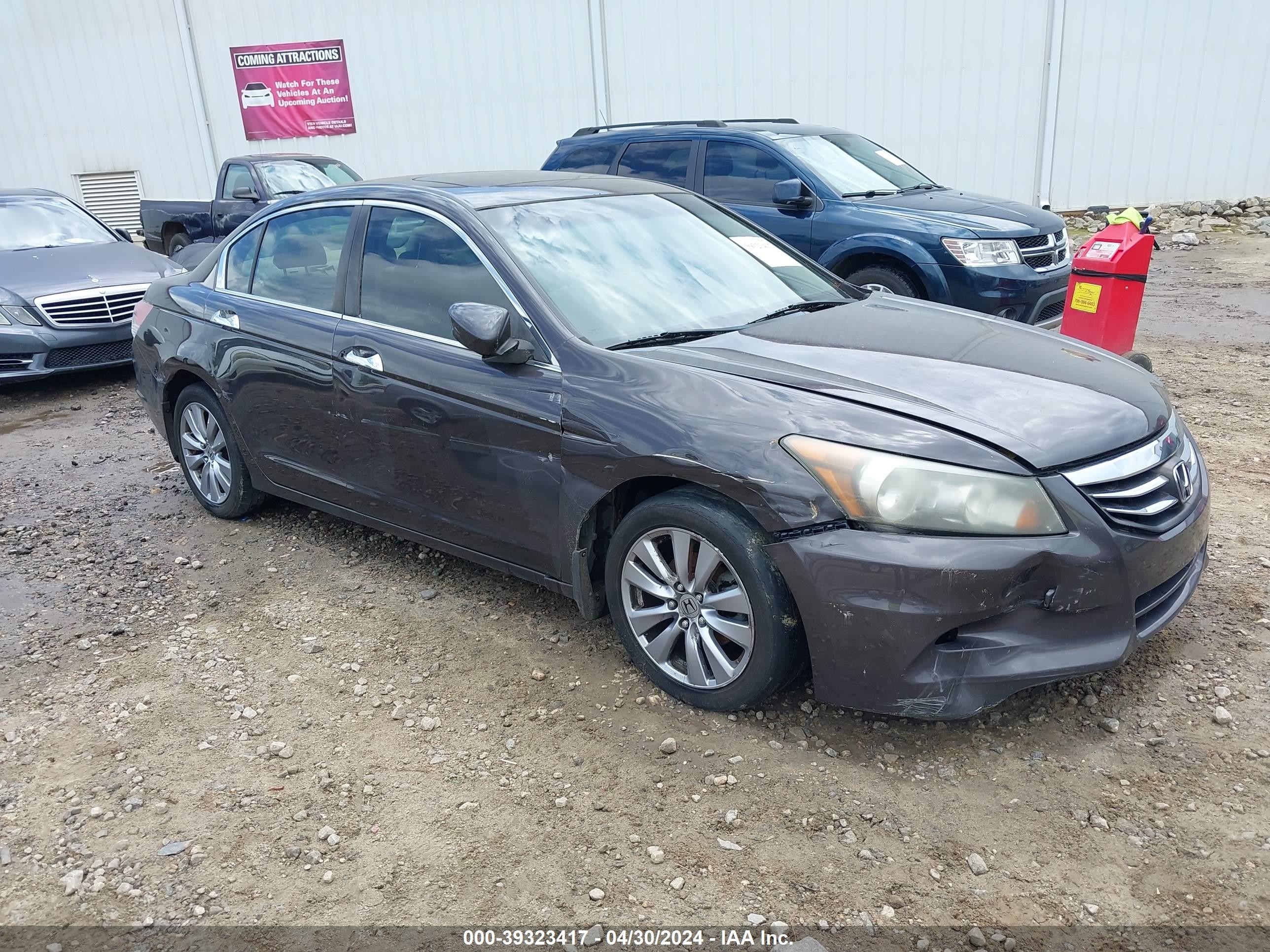 HONDA ACCORD 2011 1hgcp3f83ba026596