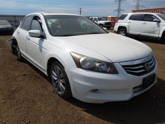 HONDA ACCORD EXL 2011 1hgcp3f83ba029773